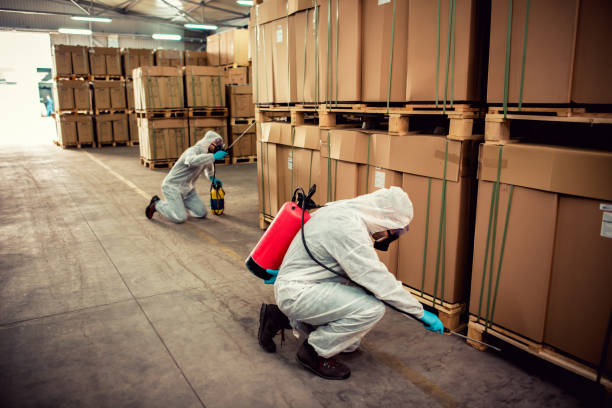 Best Pest Inspection Near Me  in Williston, ND
