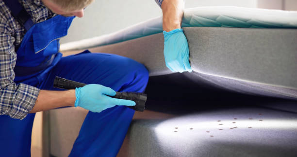 Best Wasp Removal Services  in Williston, ND
