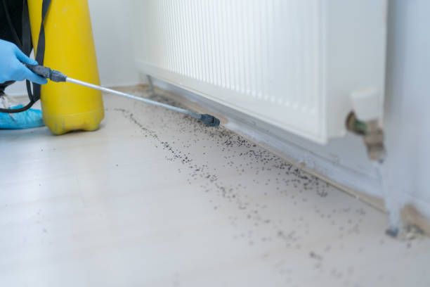 Best Pest Prevention Services  in Williston, ND