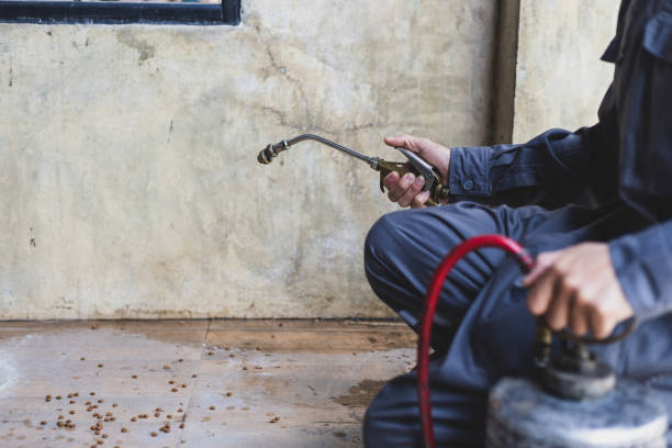 Best Flea Control Services  in Williston, ND
